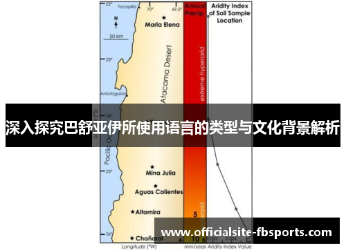 深入探究巴舒亚伊所使用语言的类型与文化背景解析 深入探究巴舒亚伊所使用语言的类型与文化背景解析