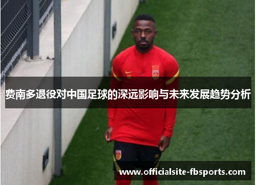 费南多退役对中国足球的深远影响与未来发展趋势分析