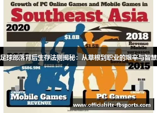 足球部落背后生存法则揭秘：从草根到职业的艰辛与智慧